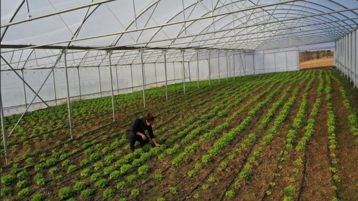 Büyükşehir’den çiftçilere modern sera desteği